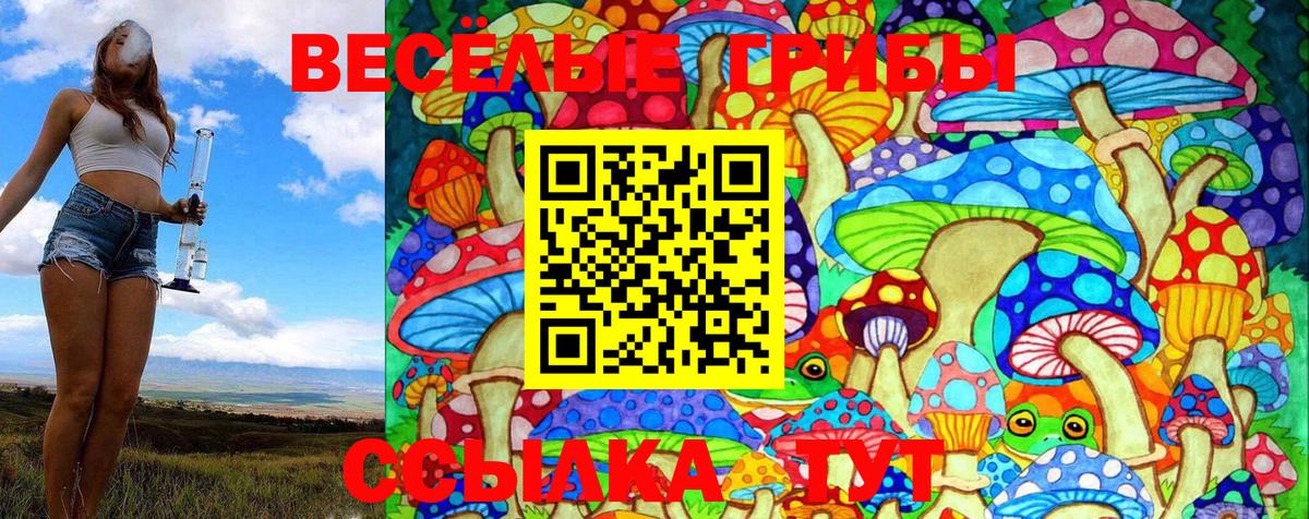 Псилоцибиновые грибы Magic Shrooms Конаково